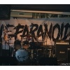 2013-02-15-The Paranoid